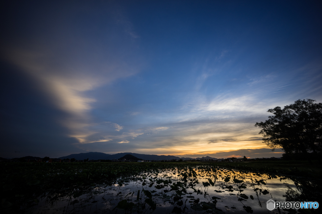 藤原宮跡の夕景