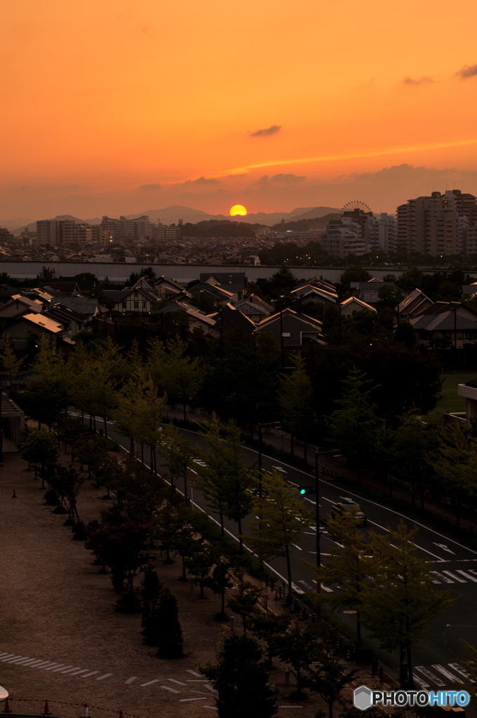 日没