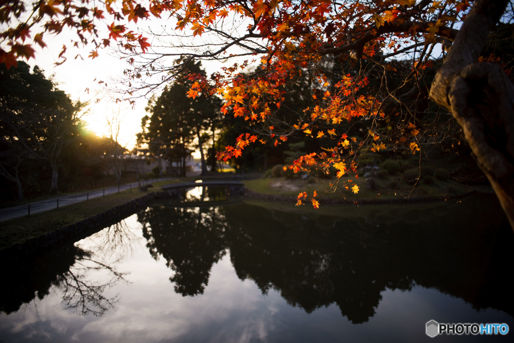 紅葉<もう冬>