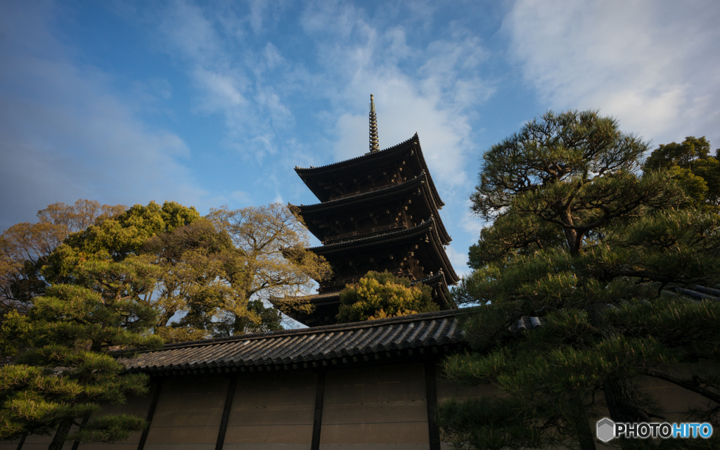 東寺の朝<4>