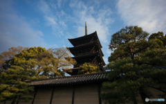 東寺の朝<4>