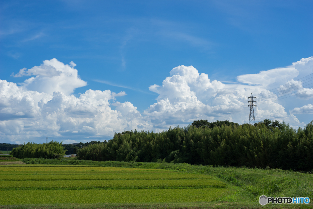 雲追い<1>