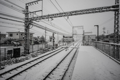 雪の朝