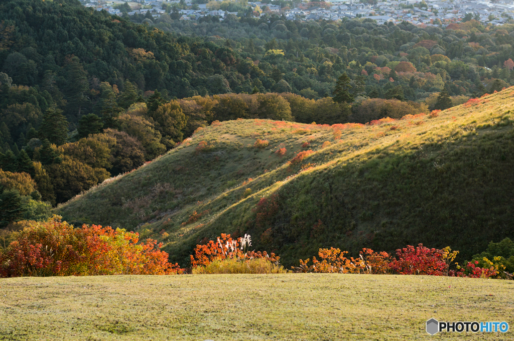 若草山の風景<3>