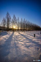 本日の朝日(20180204)