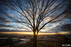 羽曳野中央霊園の夕景<4>