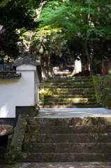 漆喰塀の脇