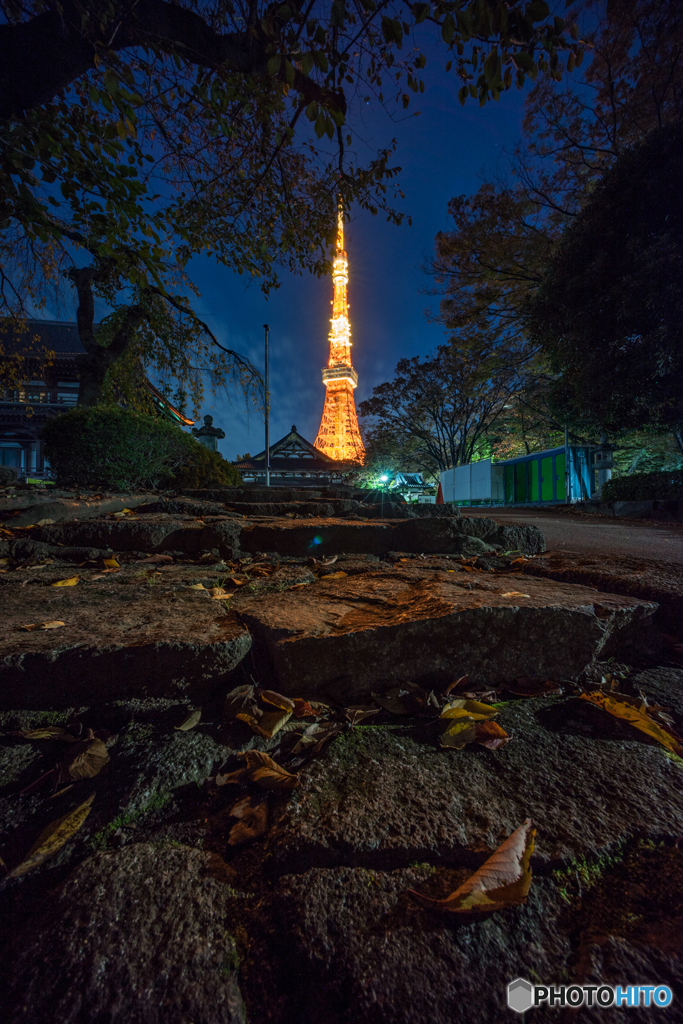 東京タワー