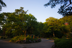 夕日を浴びる三重塔
