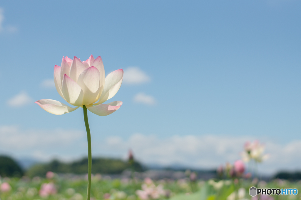 晴れの日に<8>