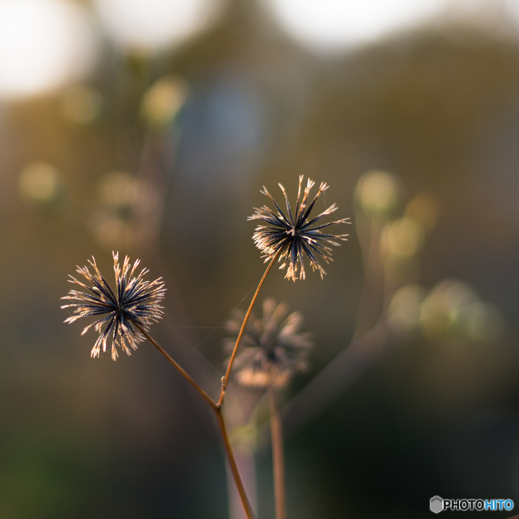 冬の棚田風景<4>