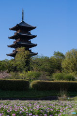 備中国分寺の春<4>