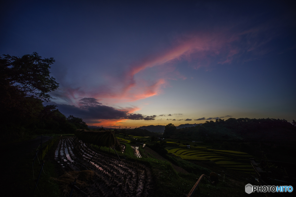 下赤坂棚田の夕景<4>