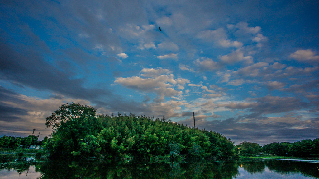 本日の雲(20140628)