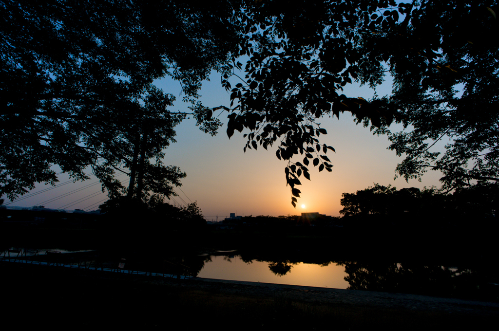 樹と川と夕日と<2>