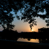 樹と川と夕日と<2>