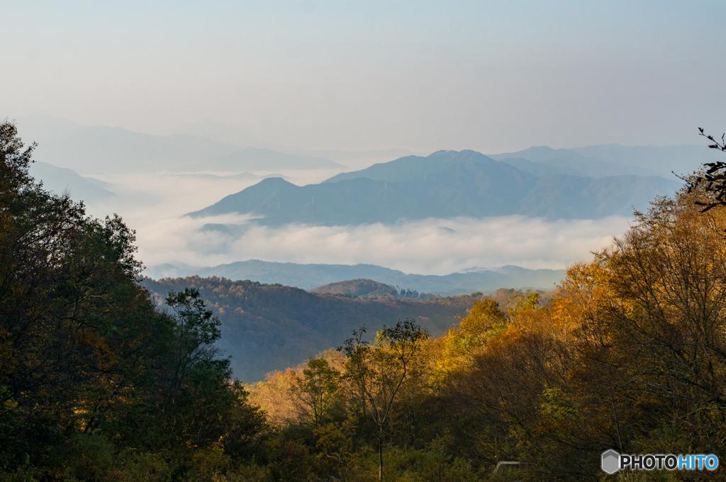 大山の紅葉<5>