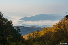 大山の紅葉<5>