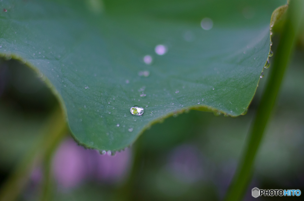 雨上がりなんで