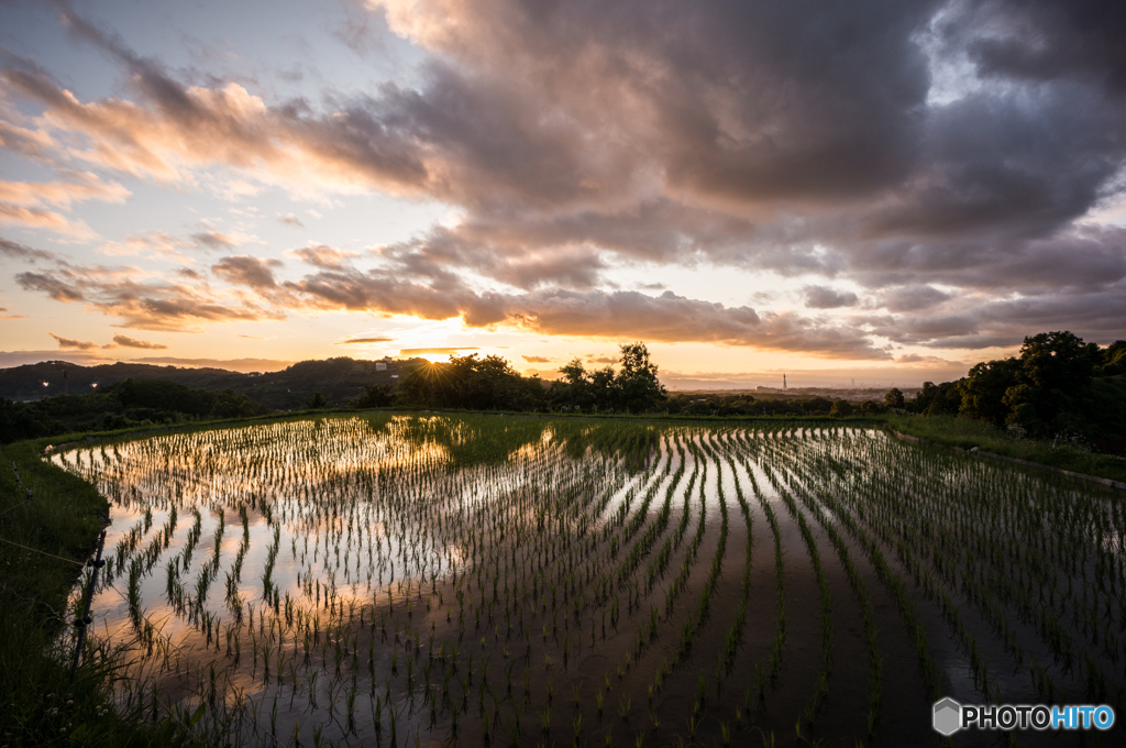 下赤坂の棚田風景<9>