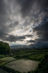 ある朝の風景