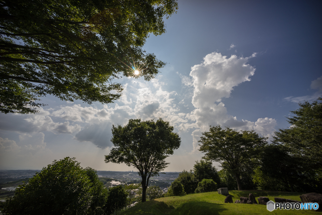 羽曳野中央霊園の夏