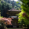 多宝塔