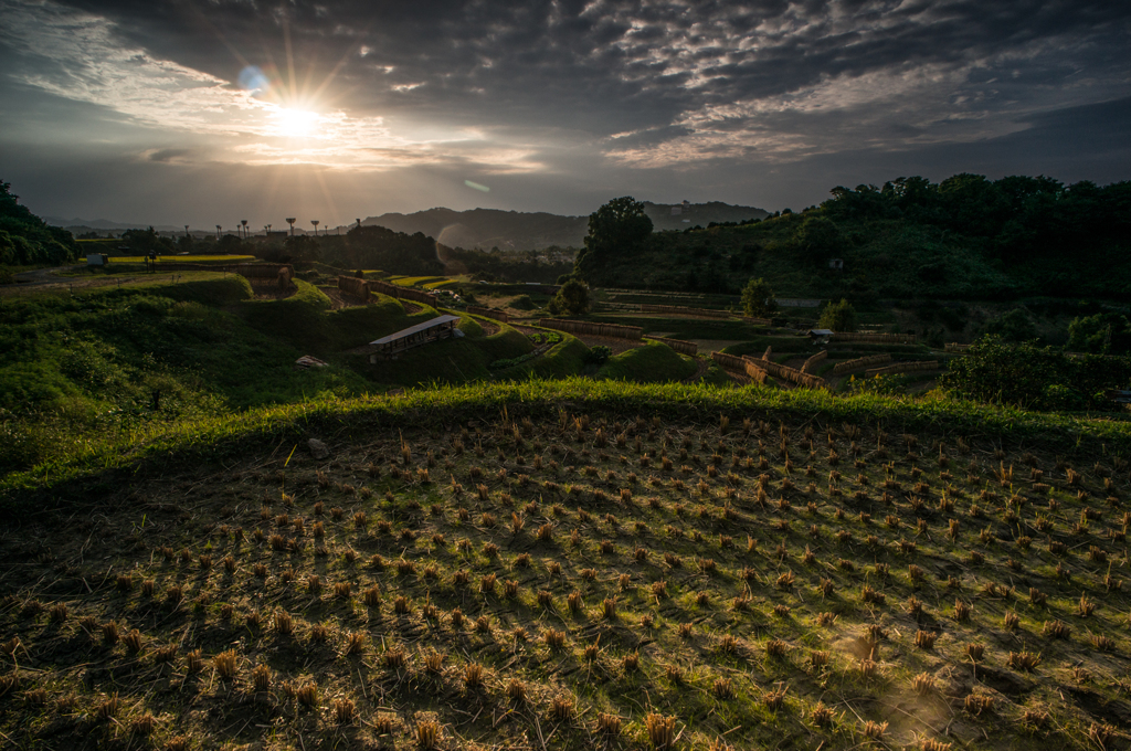 棚田三景