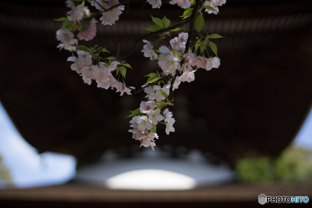 石山寺<3>
