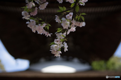 石山寺<3>