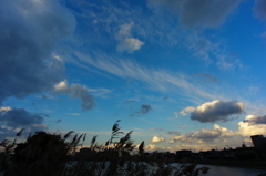 空と雲と葦と