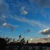 空と雲と葦と