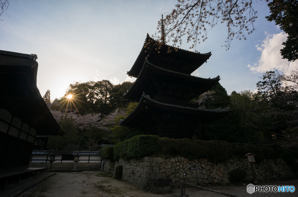 三井寺<5>