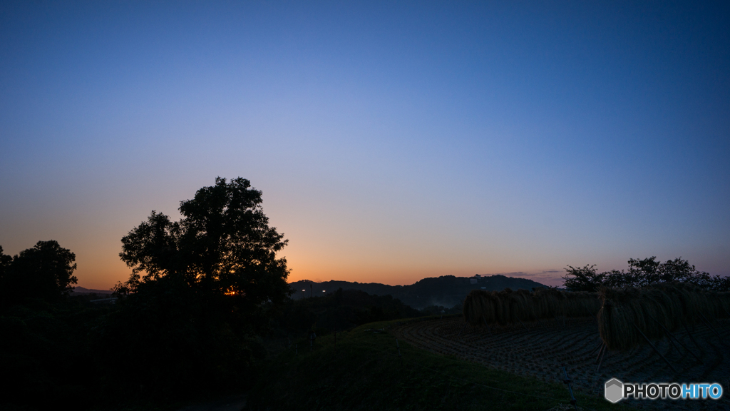 稲架掛けの風景<6>