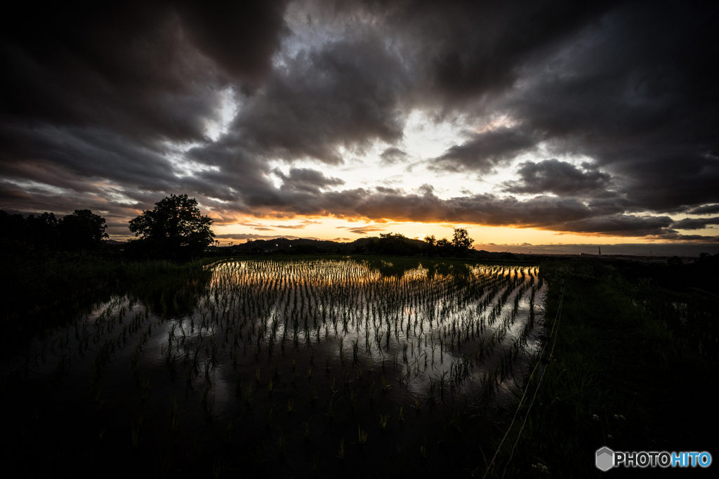 本日の夕焼け(20150628)<12mm>