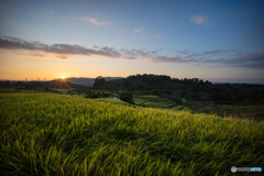 棚田夕景<4>