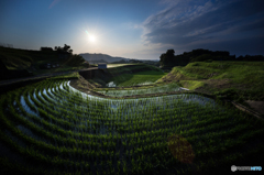 下赤坂の棚田風景<1>