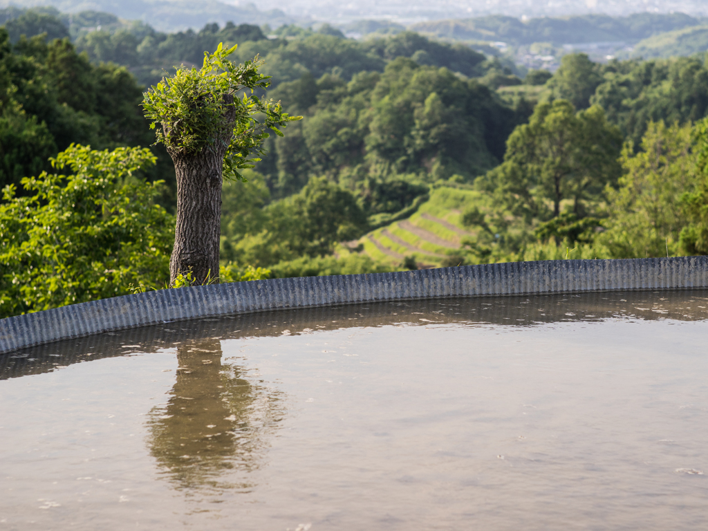 棚田<控えめ>