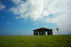 たんぽぽのある風景