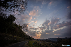 下赤坂棚田夕景<3>