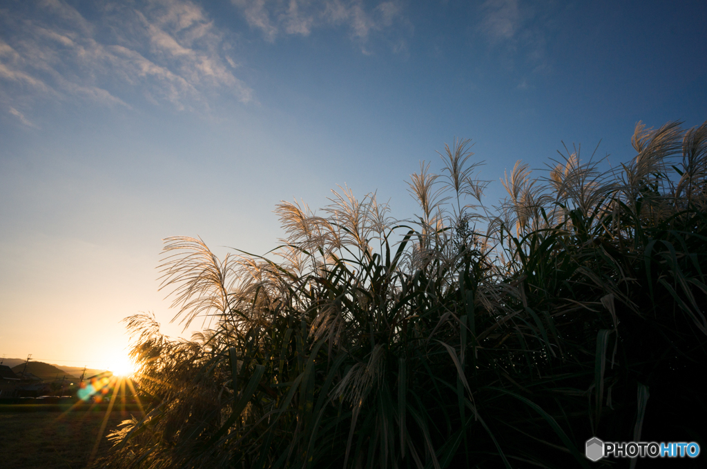 本日の夕日(20161010)