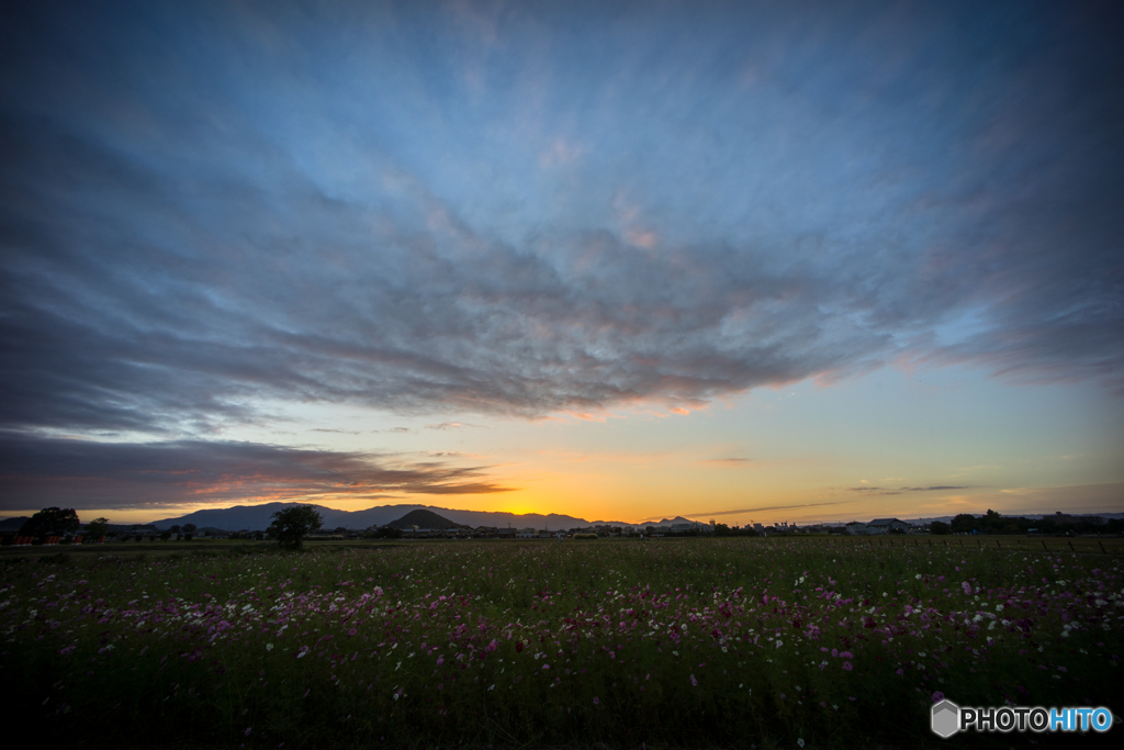 藤原宮跡の秋 午後の部<5>