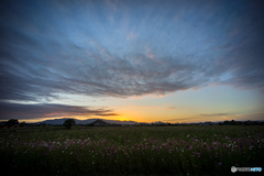 藤原宮跡の秋 午後の部<5>