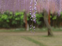 20121032