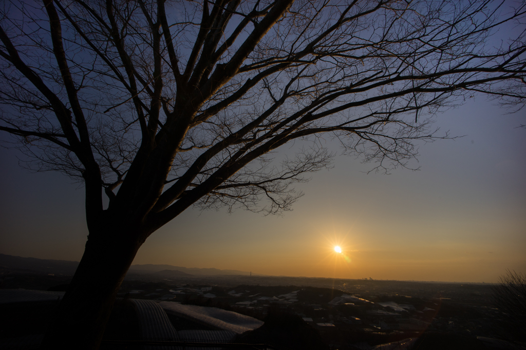 本日の夕日(20150214)