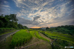 彼岸の空