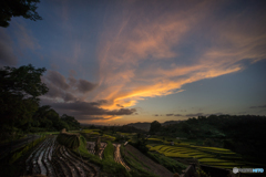 下赤坂棚田の夕景<2>
