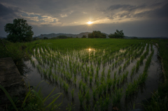 本日の夕日(20140713)