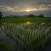 本日の夕日(20140713)