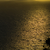 光る海